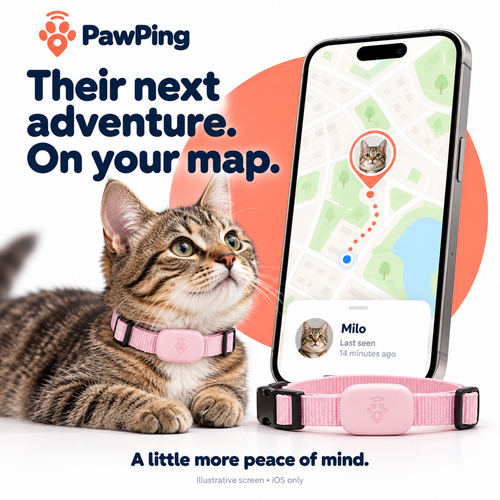 Pet Tracker